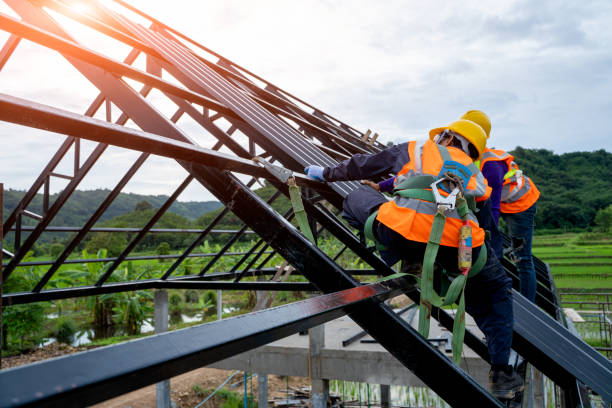 Best New Roof Installation  in Clarence, IA