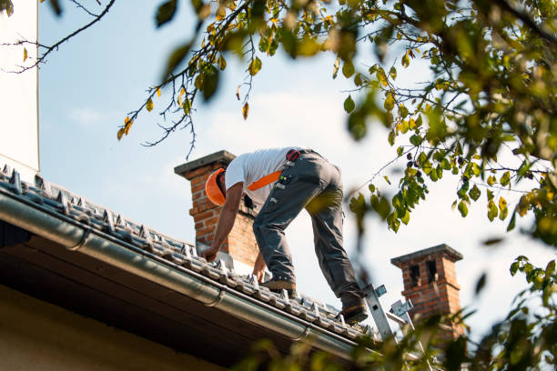 Best Sealant for Roof  in Clarence, IA