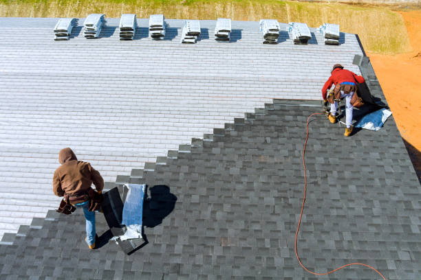 Best Roof Leak Repair  in Clarence, IA