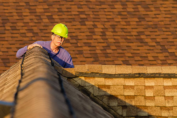 Gutter Installation and Roofing in Clarence, IA
